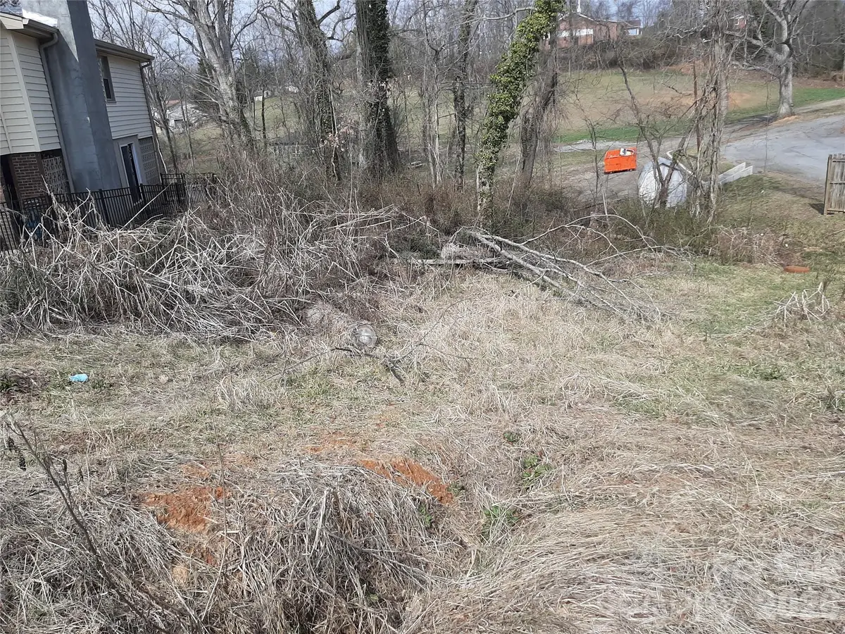 999999 Spring Brook Road, Woodfin, NC 28804 - #1