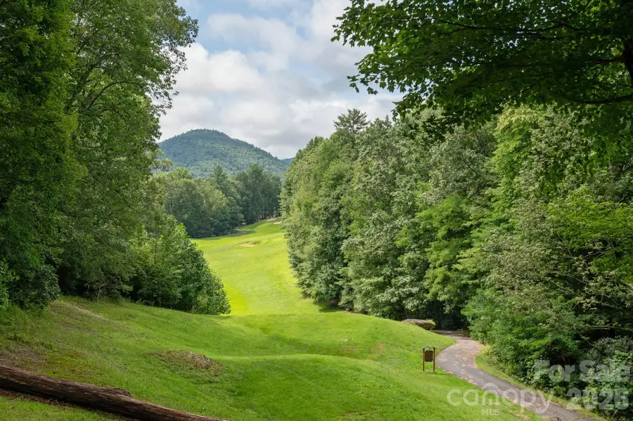 40 Blackberry Trail, Sapphire, NC 28774 - #2