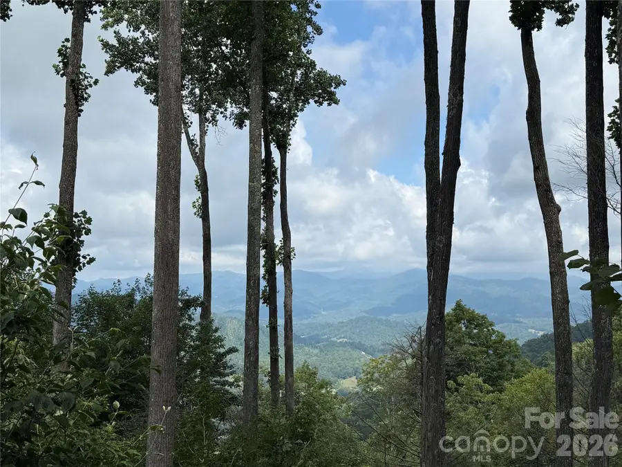 528 Andrew Banks Road #A/3, Burnsville, NC 28714 - #2