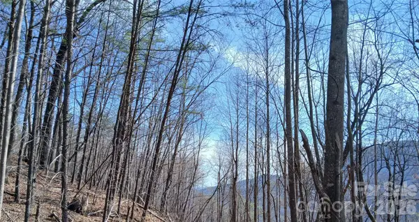 00 Piney Gate Road #39, White Oak, NC 28773