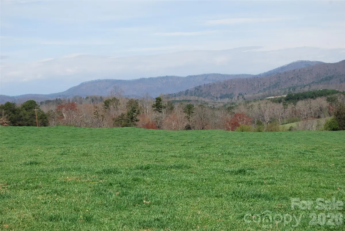 00 Moriah School Road, Casar, NC 28020 - #1