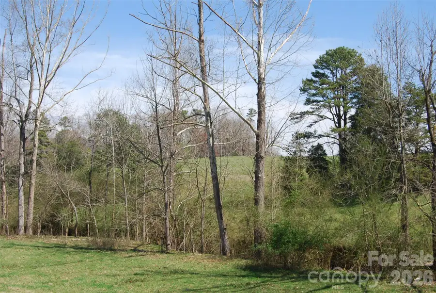 00 Moriah School Road, Casar, NC 28020 - #3