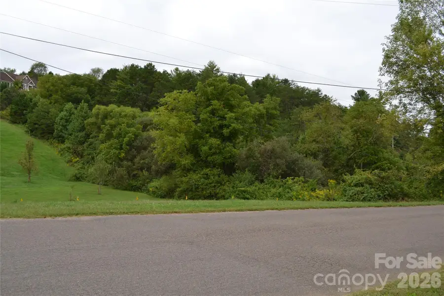 29 Sage Drive, Weaverville, NC 28787 - #3