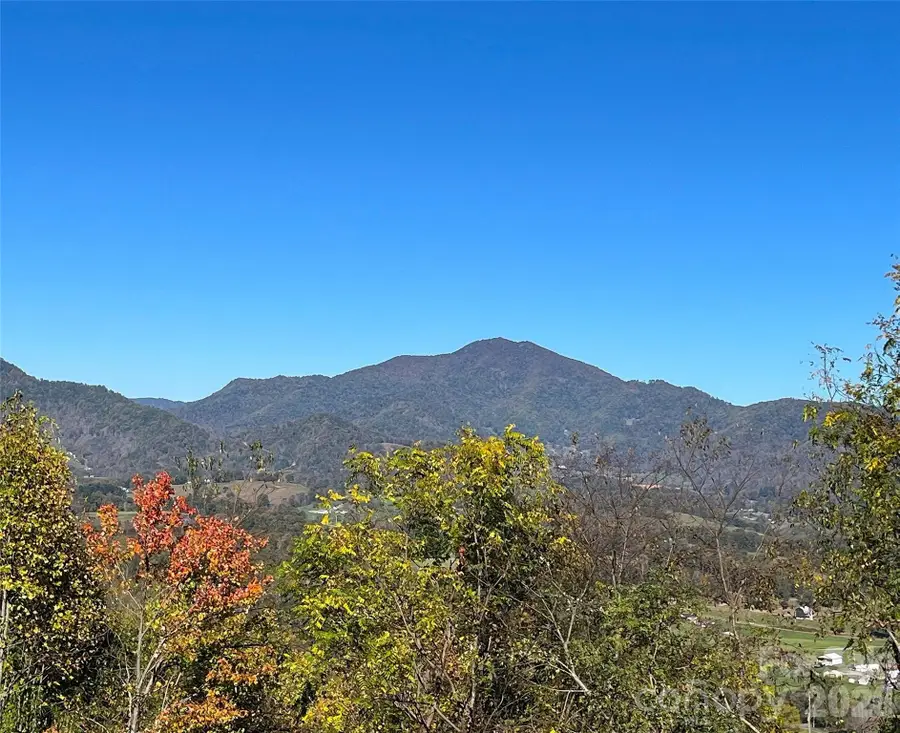 114 Nesting Ridge, Waynesville, NC 28785 - #2