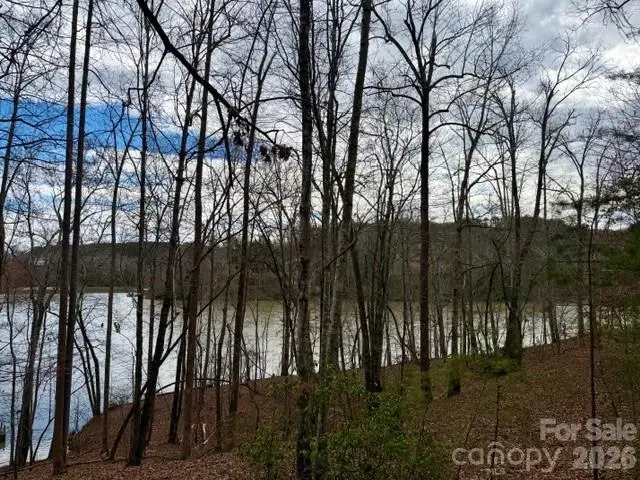 35 Mountain Parkway, Mill Spring, NC 28756 - #1