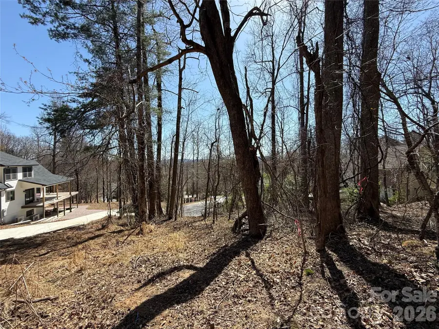 3 Fawn Turn Lane, Hendersonville, NC 28739 - #2