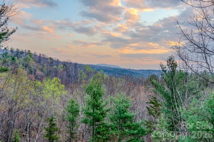 9147 Shortoff View Terrace, Nebo, NC 28761 - #3