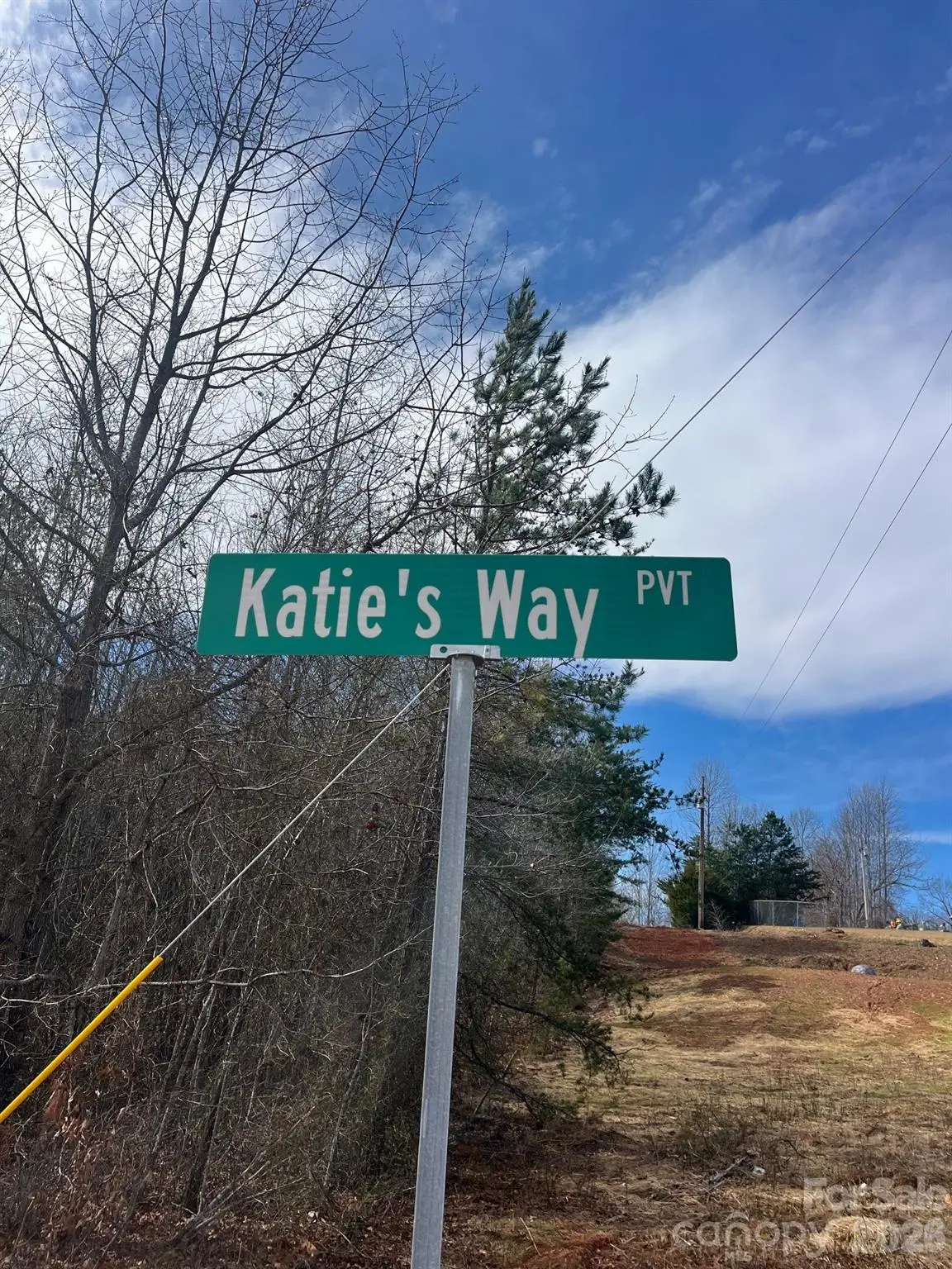 165 Katies Way, Nebo, NC 28761 - #1