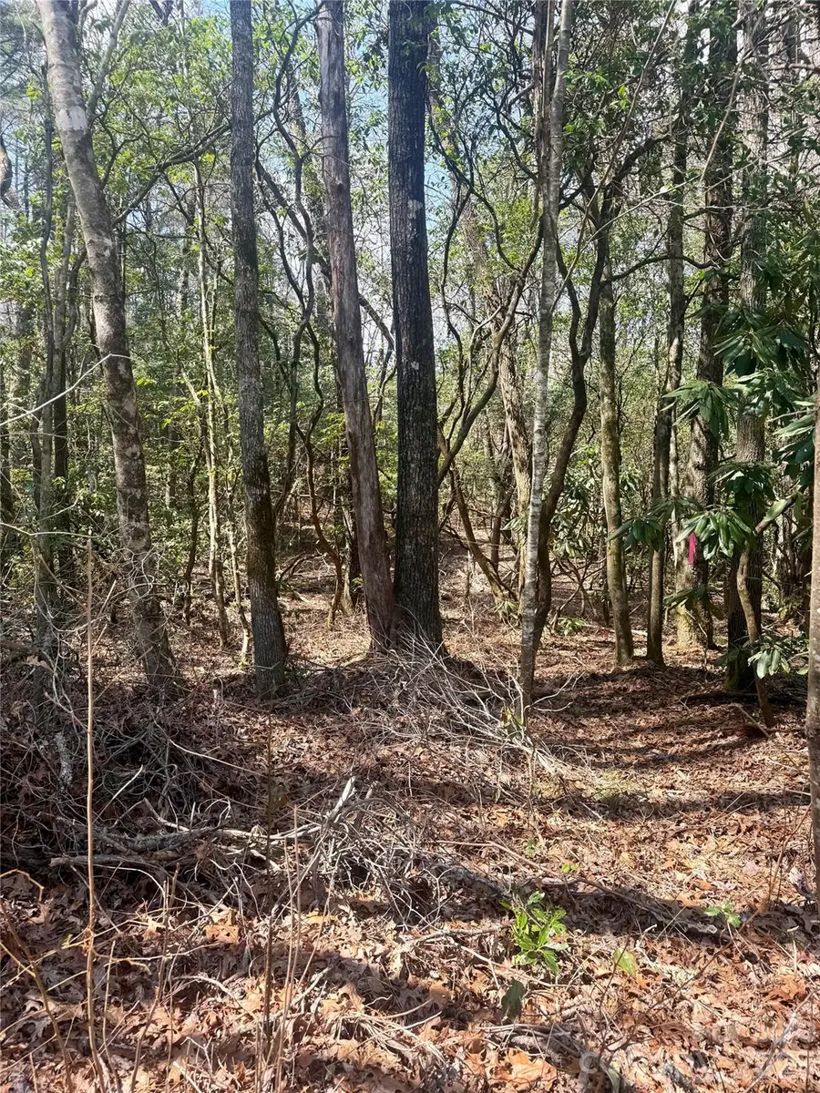 TBD Minerva Lane #Lots 79,80,84, Sapphire, NC 28774 - #3
