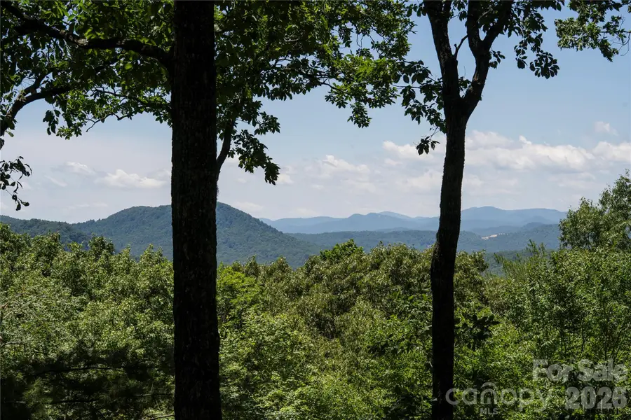 287 Dvdisdi Court, Brevard, NC 28712 - #2