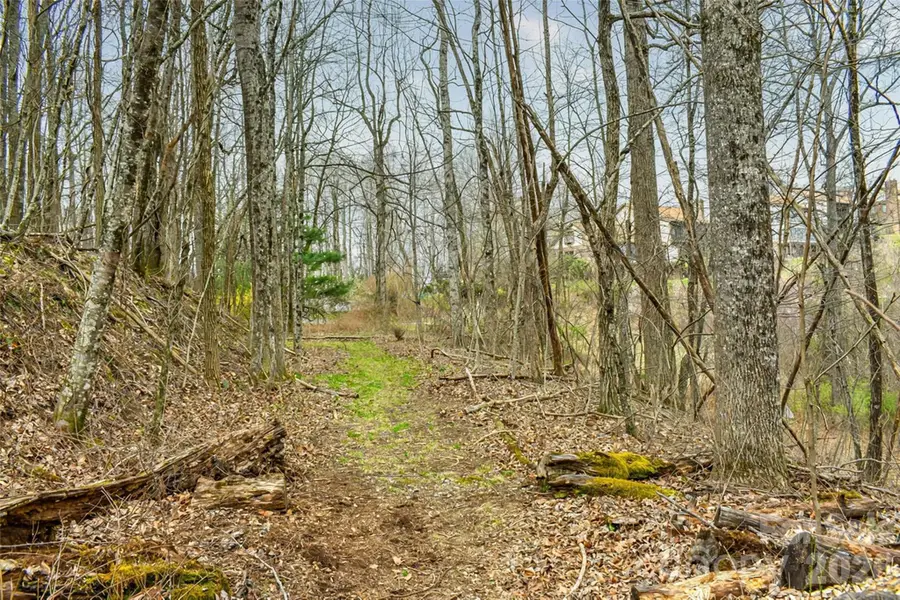 252 Pinewood Circle, Hendersonville, NC 28739 - #3