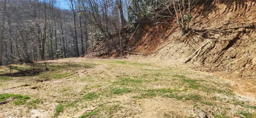 23 Craig Circle, Fairview, NC 28730 - #3