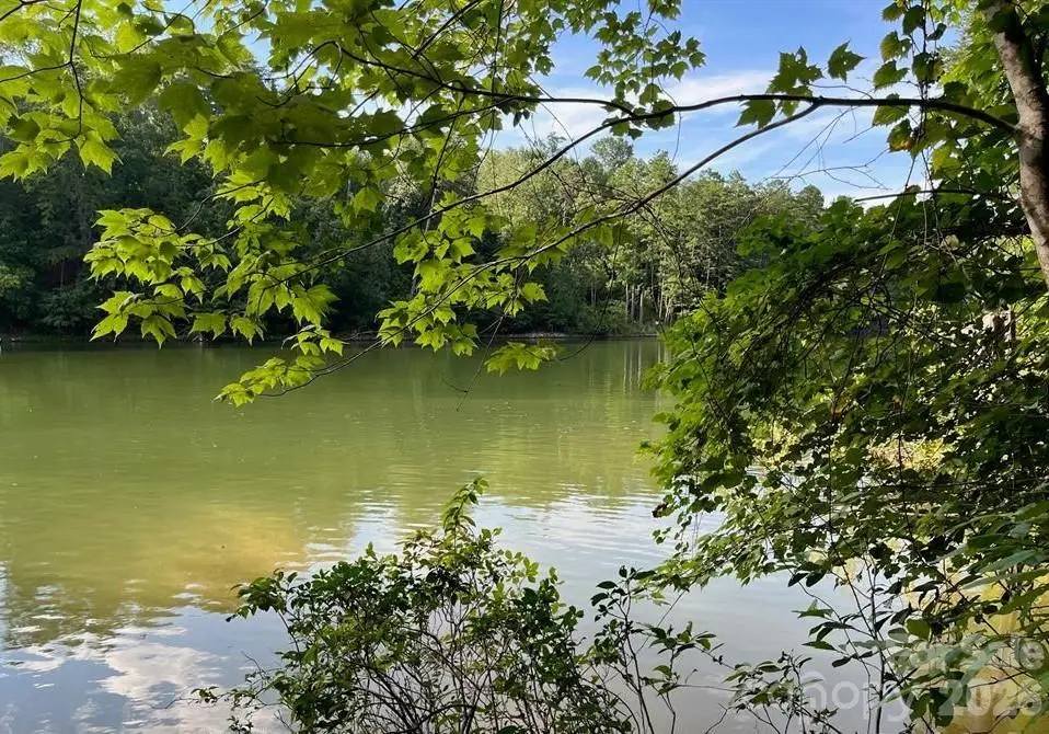 00 Canoe Drive #44, Mill Spring, NC 28756 - #1