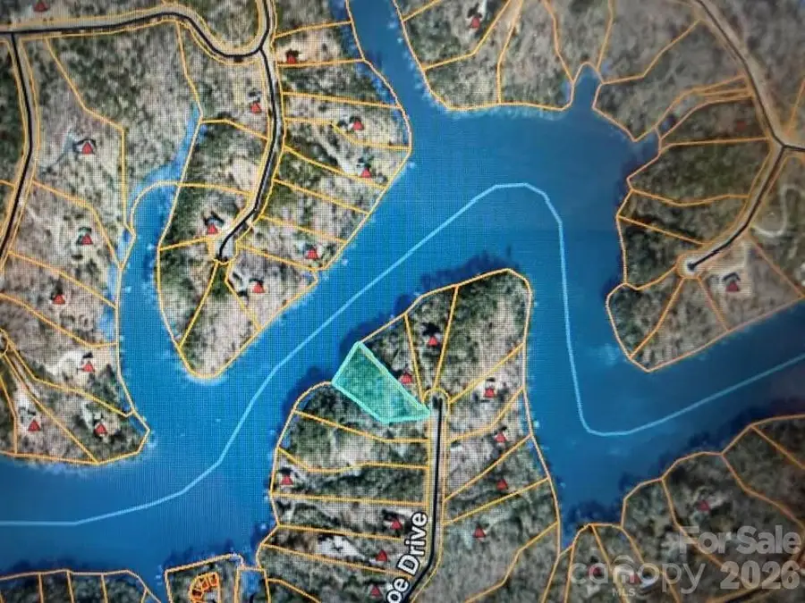 00 Canoe Drive #44, Mill Spring, NC 28756 - #2