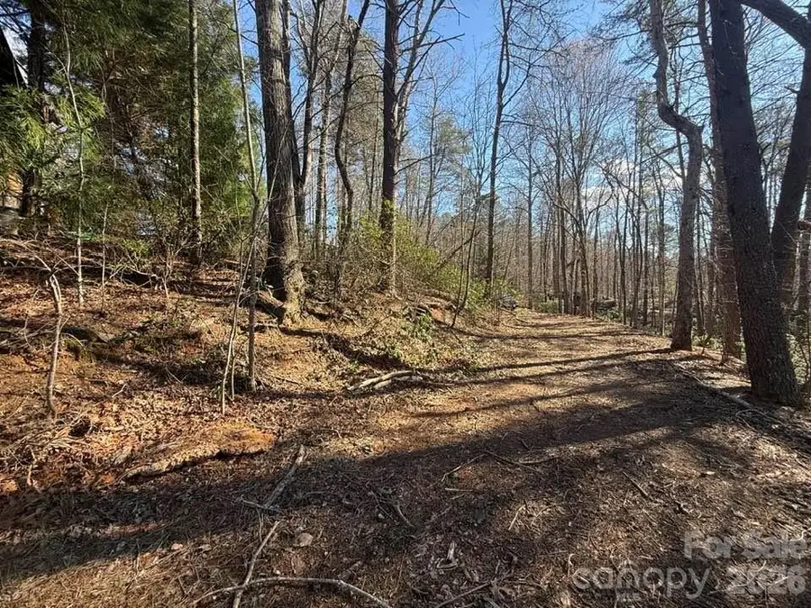 00 Canoe Drive #44, Mill Spring, NC 28756 - #3