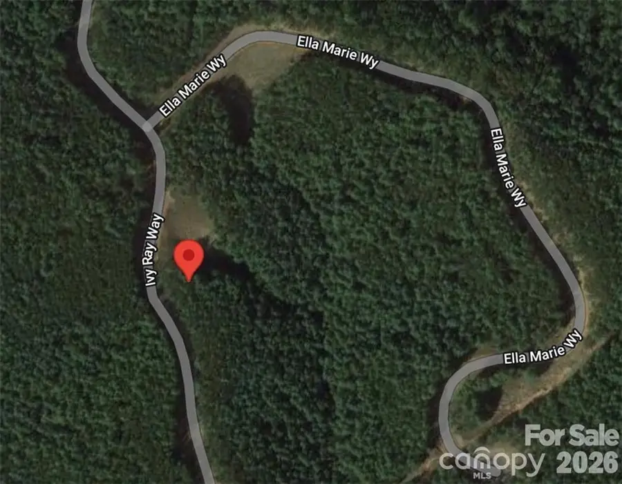 2377 Ivy Rays Way #56, Nebo, NC 28761 - #2