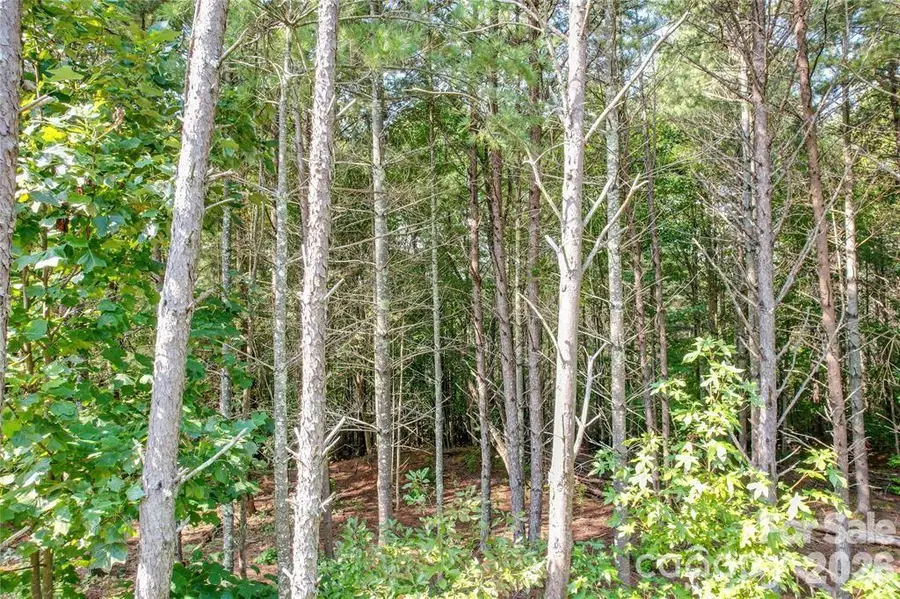 2377 Ivy Rays Way #56, Nebo, NC 28761 - #3