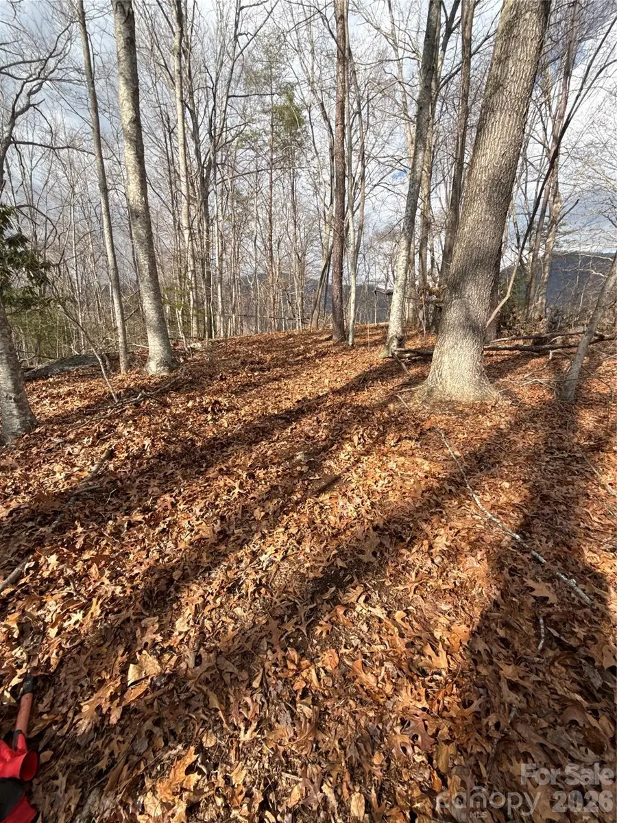 00000 Worley Cove Road, Canton, NC 28716 - #2