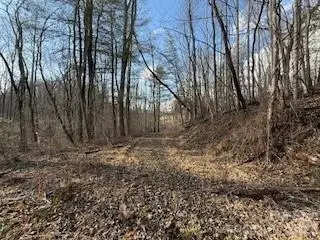 00000 Worley Cove Road, Canton, NC 28716 - #3