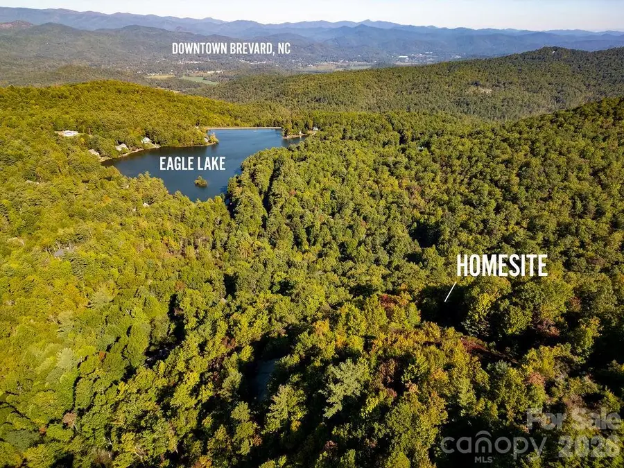 TBD Rock Face Road #L298, Brevard, NC 28712 - #3