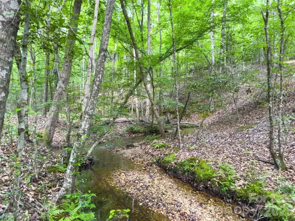 0 Old Charlotte Highway, Rockingham, NC 28379