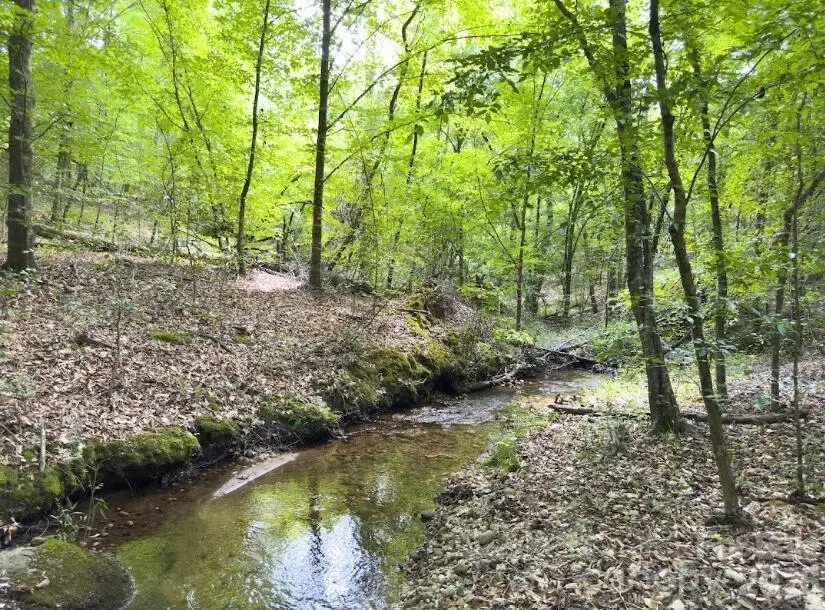 0 Old Charlotte Highway, Rockingham, NC 28379 - #2