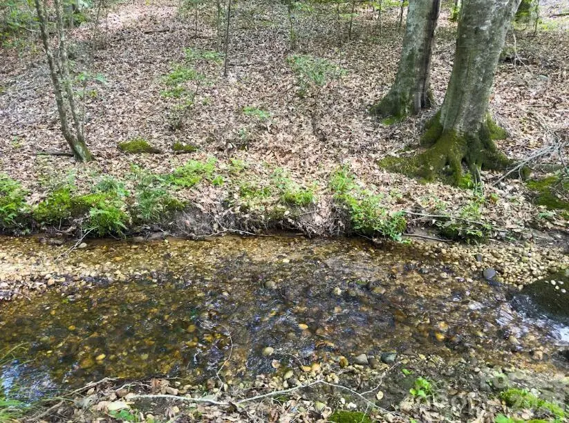 0 Old Charlotte Highway, Rockingham, NC 28379 - #3