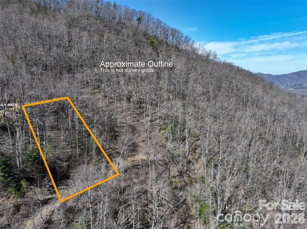 11 Taryn Trace #16, Barnardsville, NC 28709 - #1