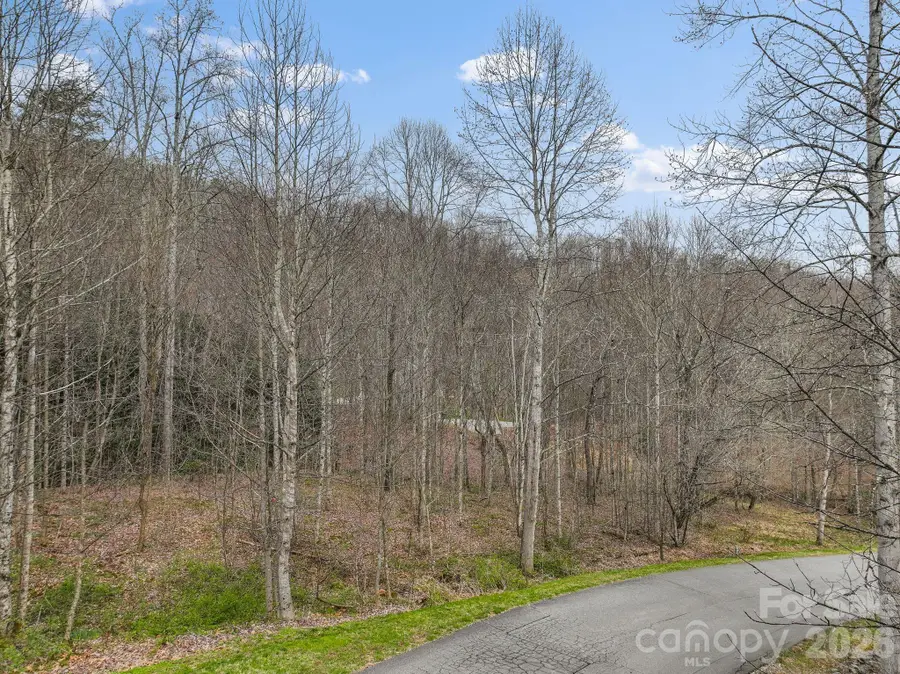 9999 Talking Rock Lane, Leicester, NC 28748 - #2