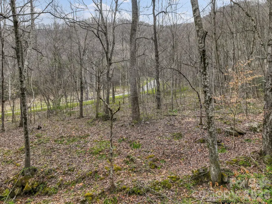 9999 Talking Rock Lane, Leicester, NC 28748 - #3