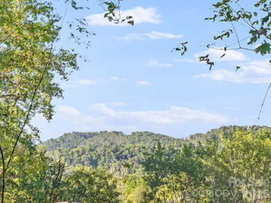 39 Spooks Branch Extension, Asheville, NC 28804 - #2