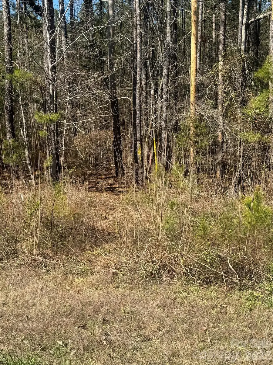 1802 Goings Road, Chester, SC 29706 - #3