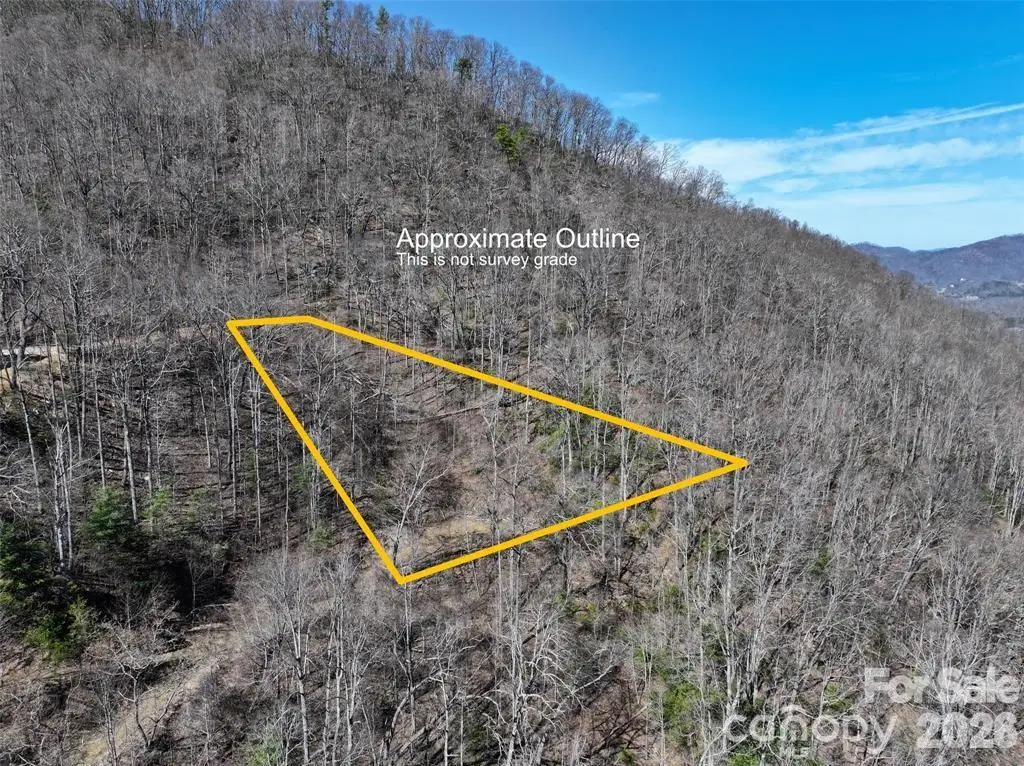 99999 Green Ridge Falls Road #17, Barnardsville, NC 28709 - #1