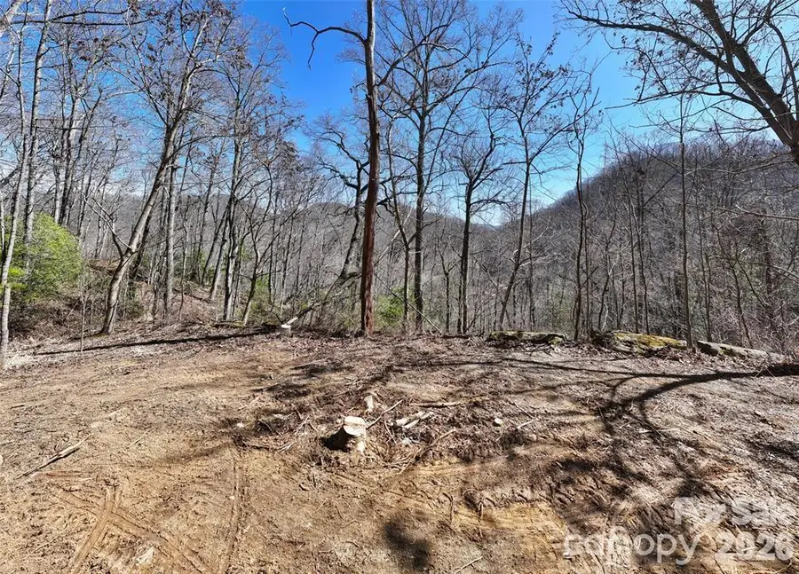 99999 Green Ridge Falls Road #17, Barnardsville, NC 28709 - #2