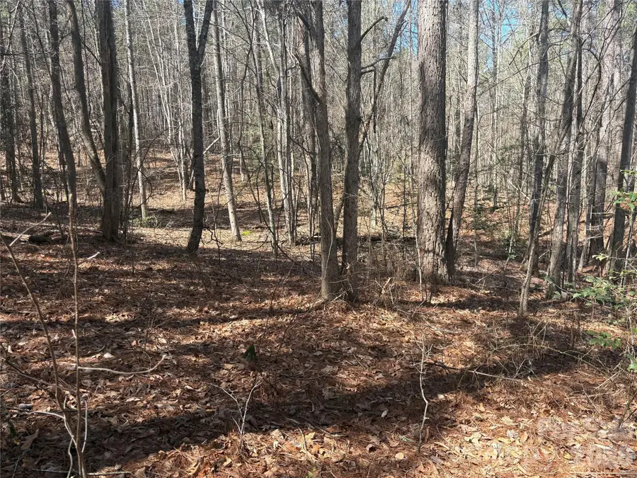 1403 Ron Whicker Drive, Catawba, NC 28609 - #2