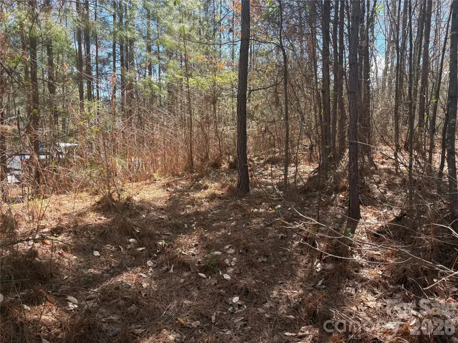 1403 Ron Whicker Drive, Catawba, NC 28609 - #3