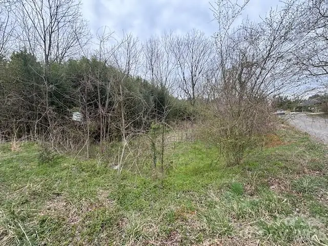 99999 Tatoonie Lane, Asheville, NC 28804 - #1