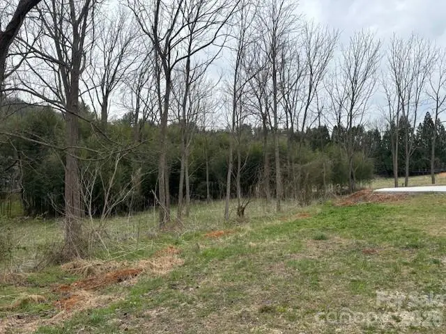 99999 Tatoonie Lane, Asheville, NC 28804 - #3