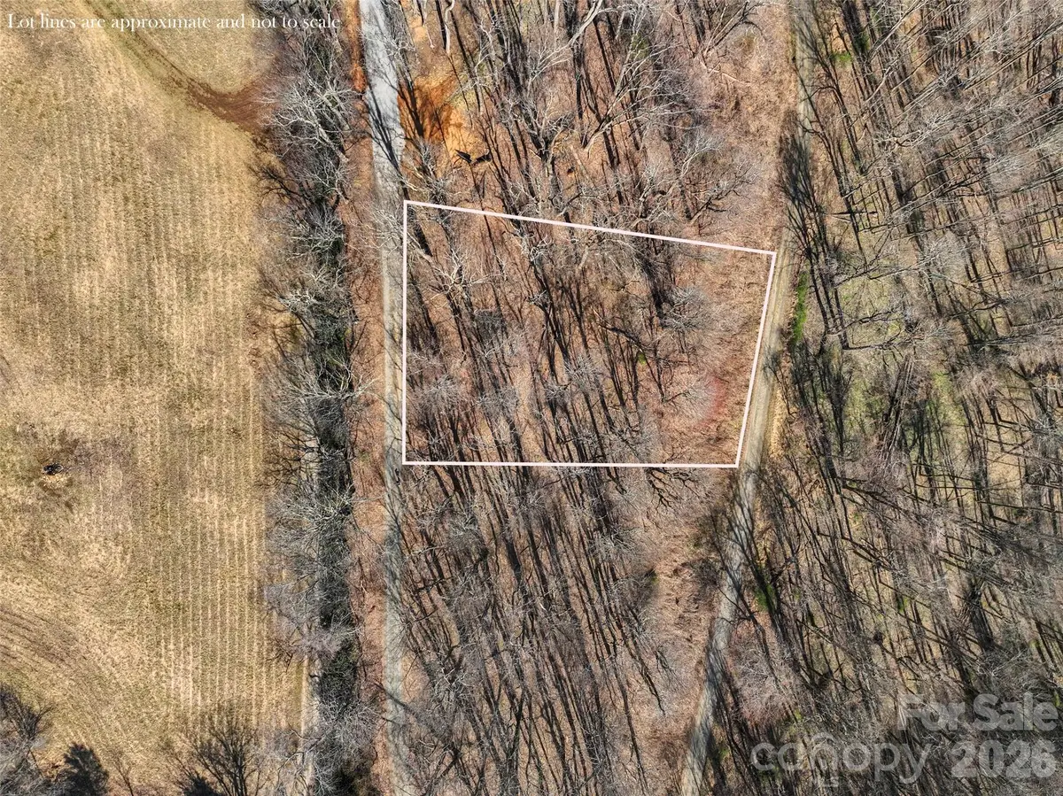 Lot 32 Strawberry Ridge Road, Little Switzerland, NC 28749 - #1