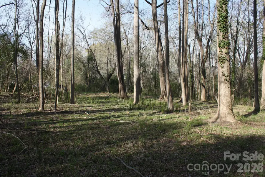 1194 Hoyle Street, Rock Hill, SC 29732 - #2