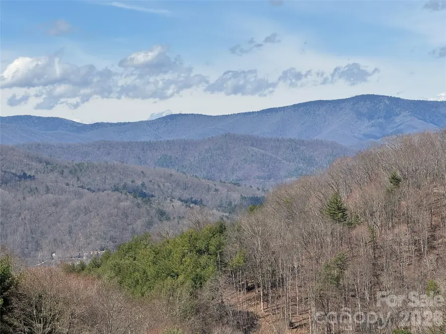 270 Anielee Lane, Clyde, NC 28721 - #2