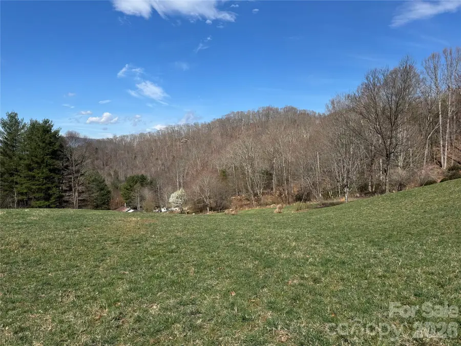 270 Anielee Lane, Clyde, NC 28721 - #3