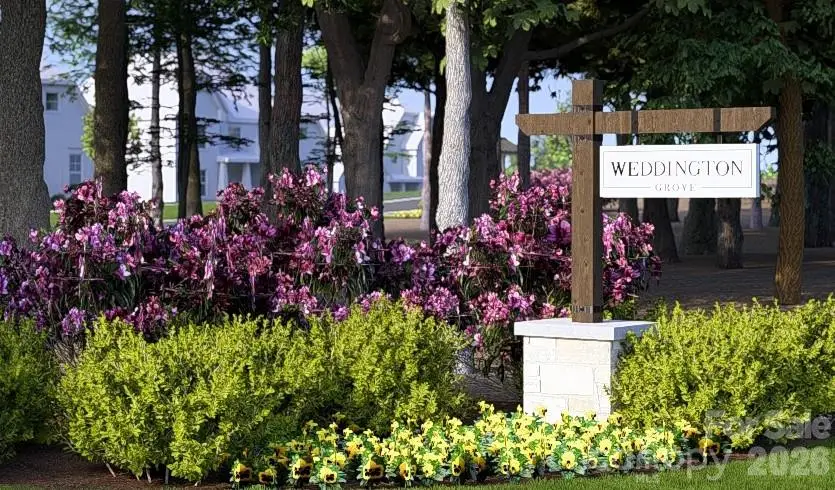 313 Weddington Grove Lane, Weddington, NC 28104 - #2