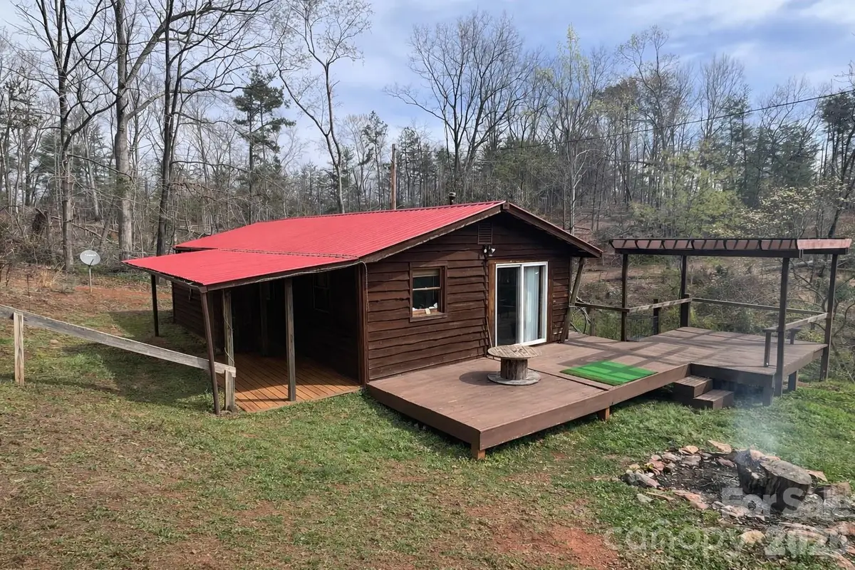 365 Hillbilly Lane, Mill Spring, NC 28756 - #1