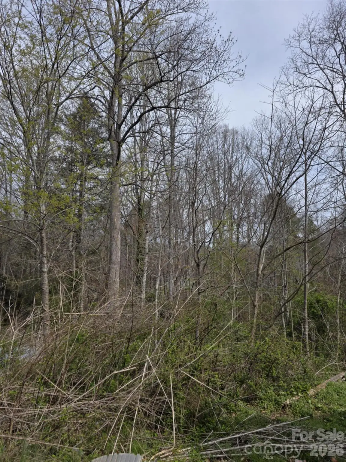 41 Jack Rabbit Drive, Marion, NC 28752 - #1