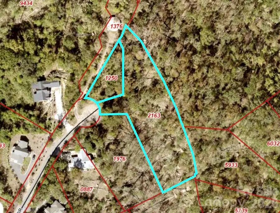 99999 High Bluff Drive, Weaverville, NC 28787 - #2