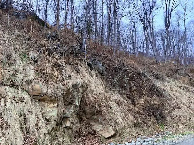 89 Weeping Cherry Forest Road, Fairview, NC 28730 - #3