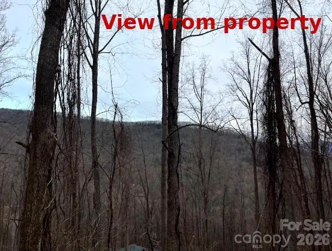 65 Weeping Cherry Forest Road, Fairview, NC 28730 - #3