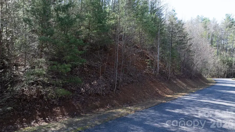 Lot 27-11 High Trail Drive, Nebo, NC 28761 - #3