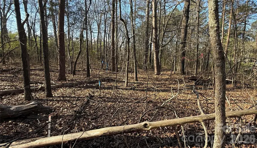 1361 Zeb Haynes Road #1, Maiden, NC 28650 - #2